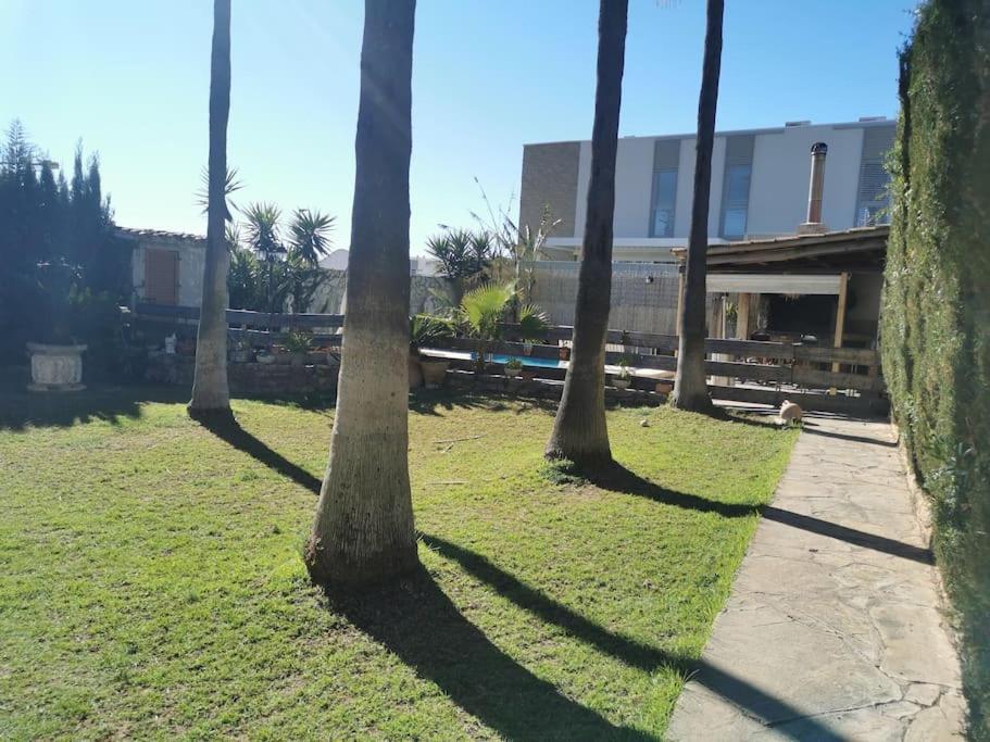 Villa Carmen 阿尔考斯布里 外观 照片